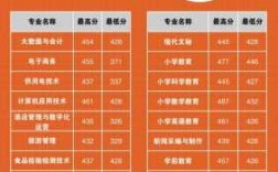 丽江师专业分数线多少（丽江师范学院2020年录取分数线）