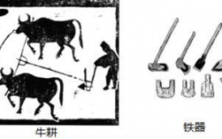 铁制农具和牛耕哪个先出现（铁制农具和牛耕开始出现于何时他们的出现有什么作用）