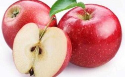 苹果是植物体的哪个部分（苹果属于植物体的器官吗）
