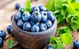 蓝莓是哪个季节的（蓝莓是哪个季节的应季水果）