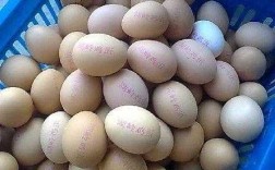 供应鸡蛋哪个字错了（鸡蛋供应商名称）