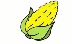 玉米和叶子怎么画图片（玉米和叶子怎么画图片大全）