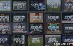 CCTV后面加哪个动词everyday（cctv的英文单词）