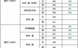 四川考上外文科要多少分（四川外国语大学2020年录取分数线文史类）