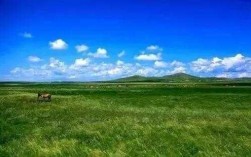 蒙古哪个草原好（蒙古哪个草原好玩）