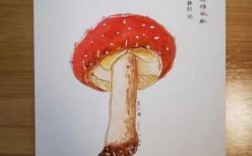五彩的毒蘑菇怎么画（毒蘑菇怎么画简单又漂亮）