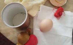 保护鸡蛋的降落伞怎么做（鸡蛋保护装置降落伞）