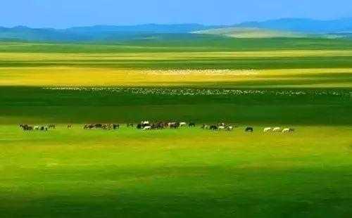 蒙古哪个草原好（蒙古哪个草原好玩）-图2