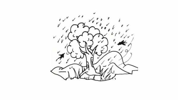 二年级春雨的图怎么画（春雨图画简笔画）-图1