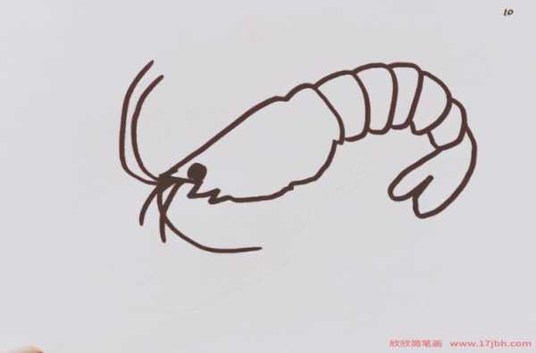 简单动物虾怎么画（可爱的虾怎么画）-图2