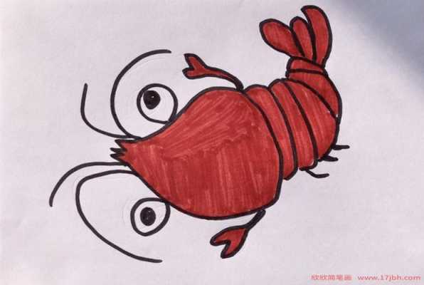 简单动物虾怎么画（可爱的虾怎么画）-图3