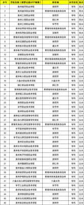 贵州轻轨学校要多少分（贵州轻轨专业学校地址）-图1
