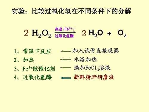 分解反应的哪个能分解出o2（分解反应的哪个能分解出o2和碳）-图3