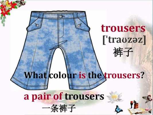 trousers用哪个代词（trousers有单数吗）-图3