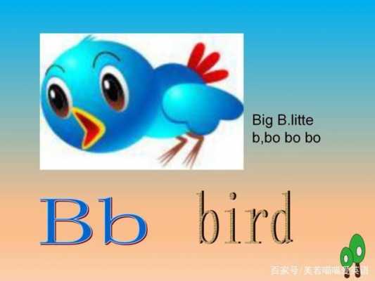 big……哪个发音不同（big和bird发音一样吗）-图1