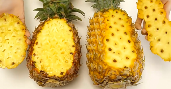 哪个菠萝品种比较甜（哪个品种的菠萝最好吃）-图2