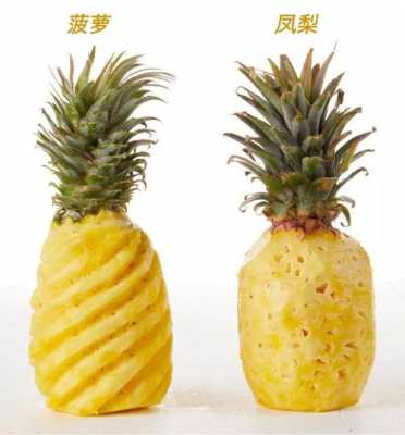 哪个菠萝品种比较甜（哪个品种的菠萝最好吃）-图3