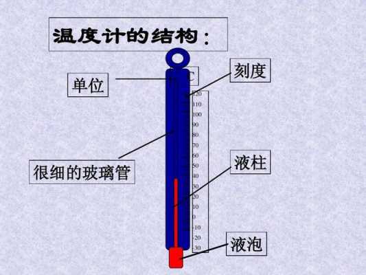 温度计液泡在哪个位置（温度计的液泡和液柱的作用分别是什么）-图2