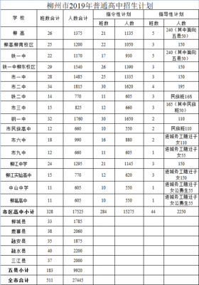 柳州地区有多少高中（柳州地区有多少高中学生）-图3
