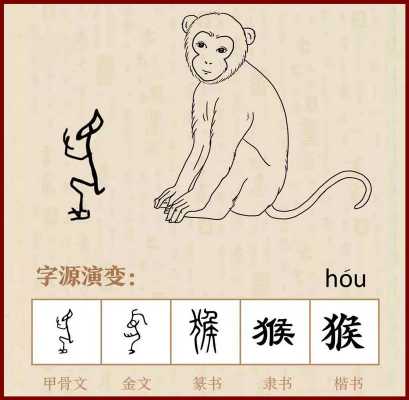 怎么写猴子（怎么写猴子的特点）-图2