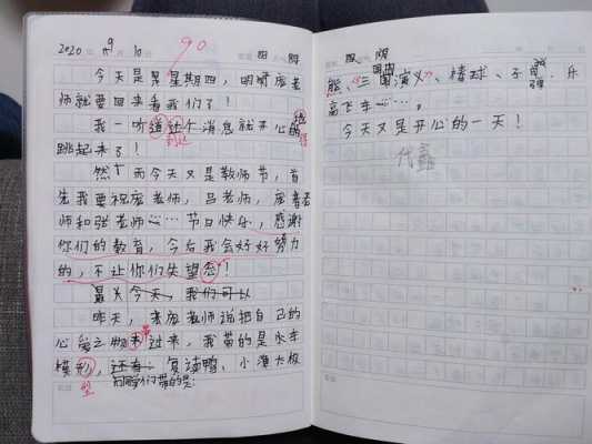 小学二年级手工日记怎么写（2年级的日记做手工日记）-图2