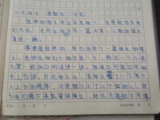 小学二年级手工日记怎么写（2年级的日记做手工日记）-图3