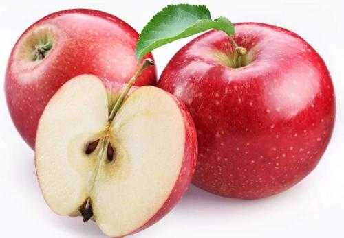 苹果是植物体的哪个部分（苹果属于植物体的器官吗）-图1