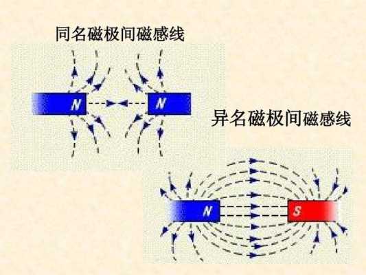 磁感线方向和哪个磁极（磁感线的方向是什么）-图2