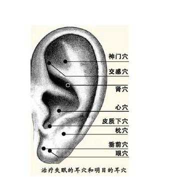 左耳对应右手哪个部位（左耳与右耳）-图1