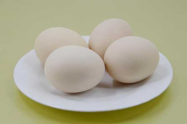 鸭蛋和鸡蛋哪个大（鸭蛋和鸡蛋大小一样吗）-图1