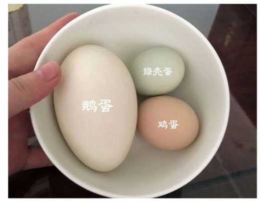 鸭蛋和鸡蛋哪个大（鸭蛋和鸡蛋大小一样吗）-图2