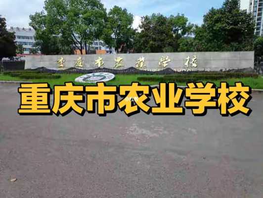 重庆农业学校高职要多少分（重庆市农业学校多少分）-图2