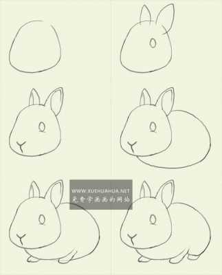 怎么用考试小白兔（小白兔步骤）-图3