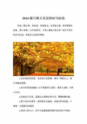 秋天公园里的树怎么描写（描写公园里秋天的景色的一段话）-图2