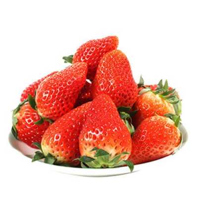 水果草莓猜哪个明星（水果草莓是什么品种）-图1