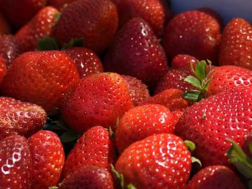 水果草莓猜哪个明星（水果草莓是什么品种）-图3