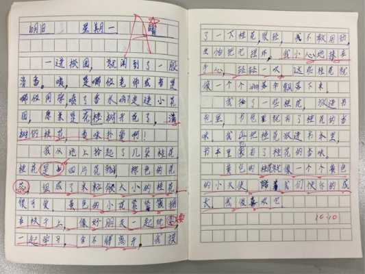 三年级日记的开头怎么写（三年级日记的开头怎么写好）-图1